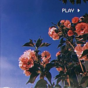 Meet your Posher, Desha